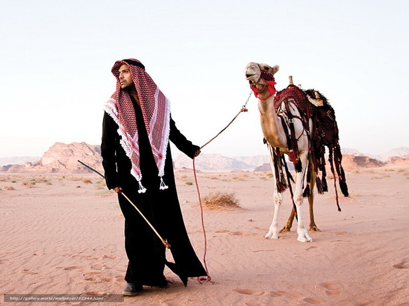 Desert camel guide