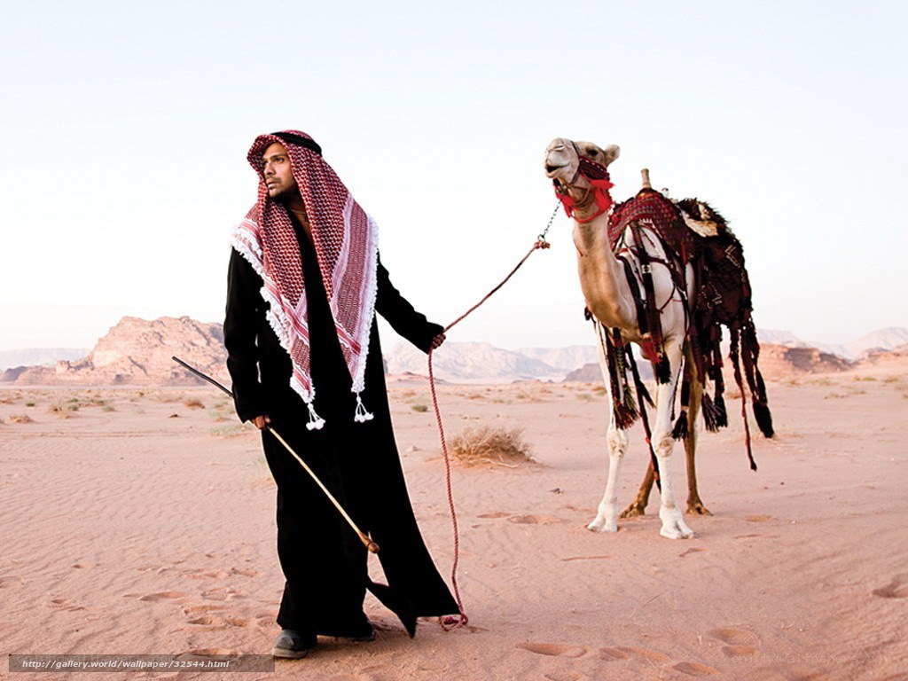 Desert camel guide