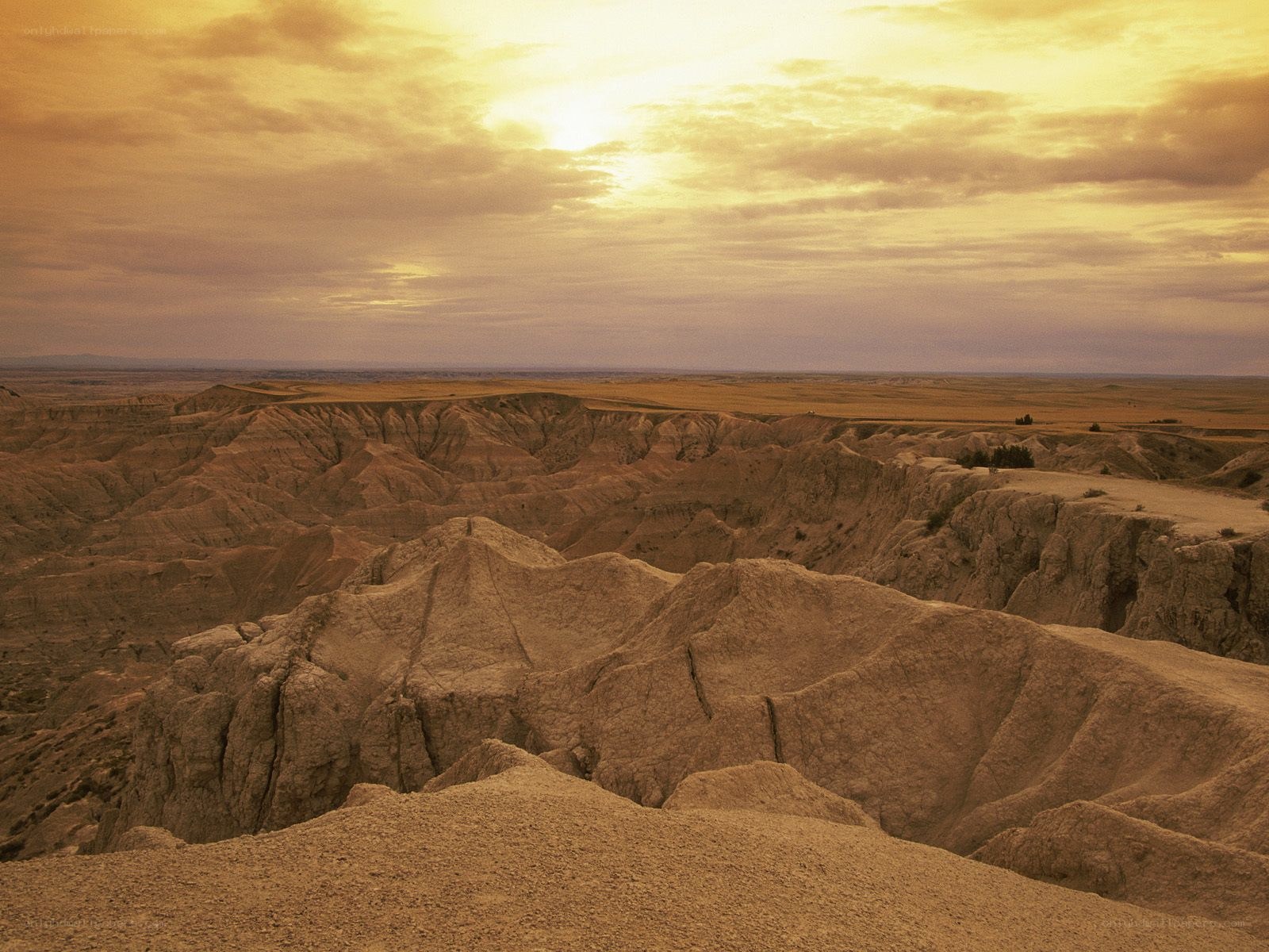 Desert canyon at sunset