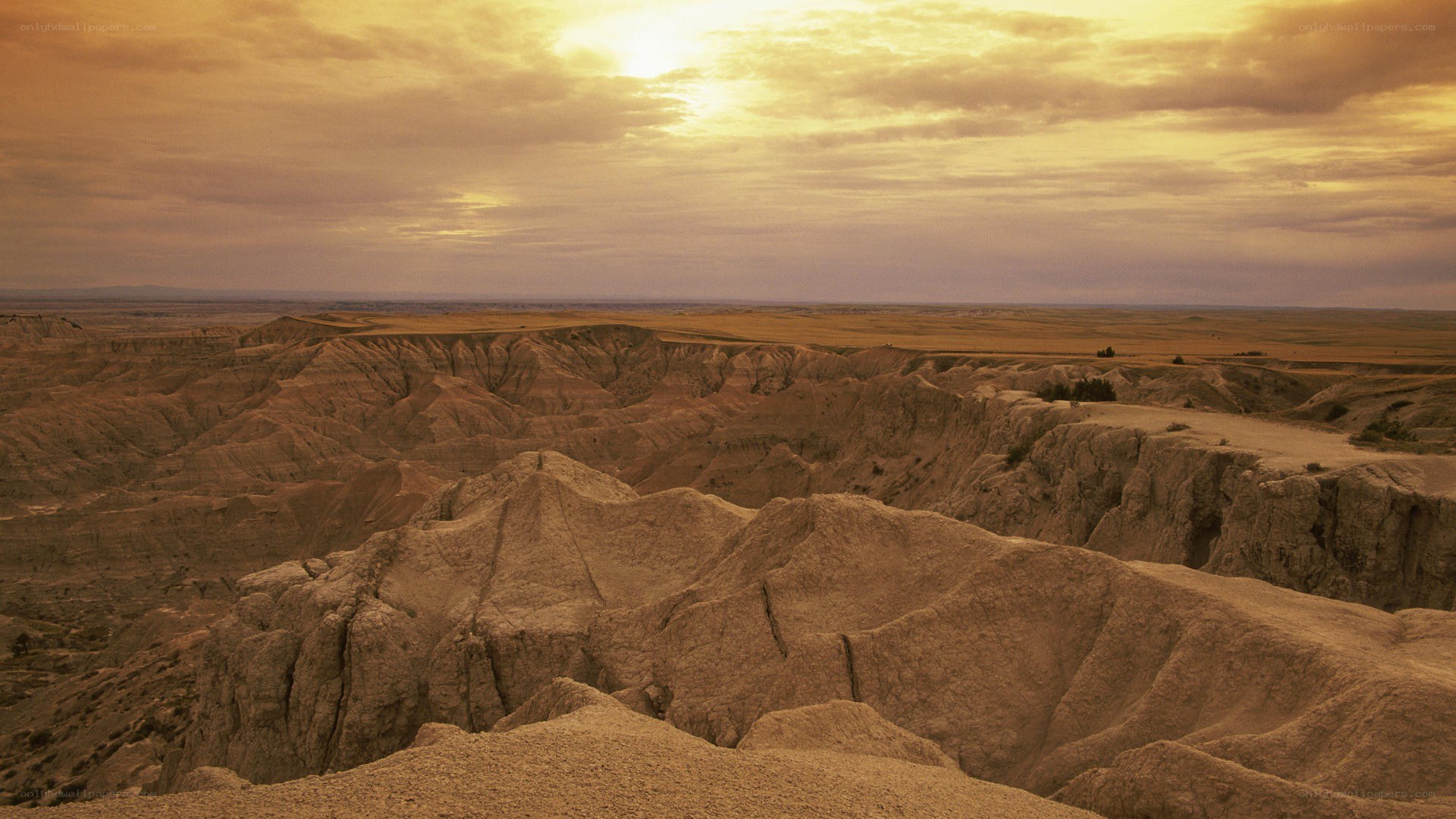 Desert canyon at sunset
