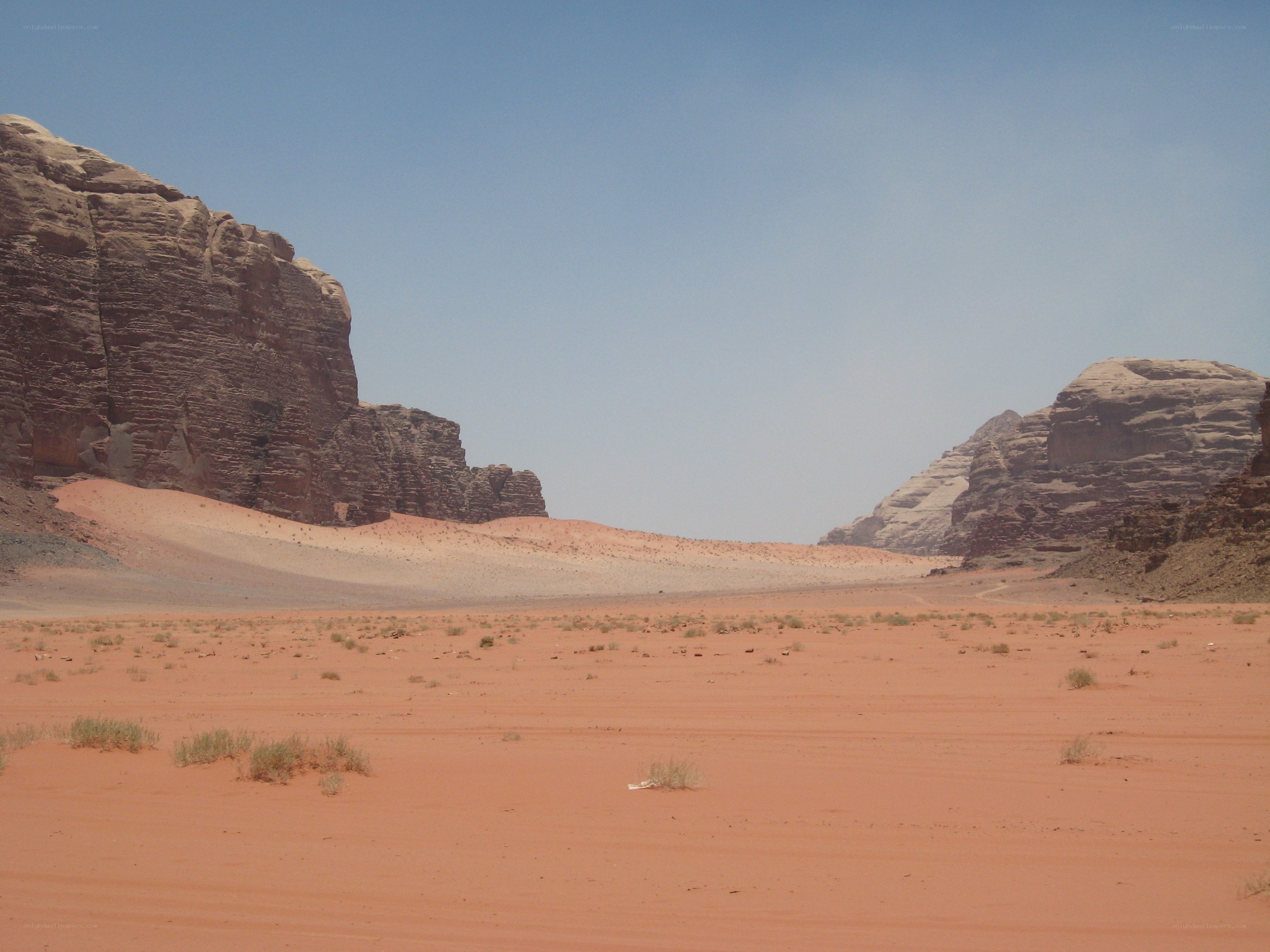 Desert canyon landscape