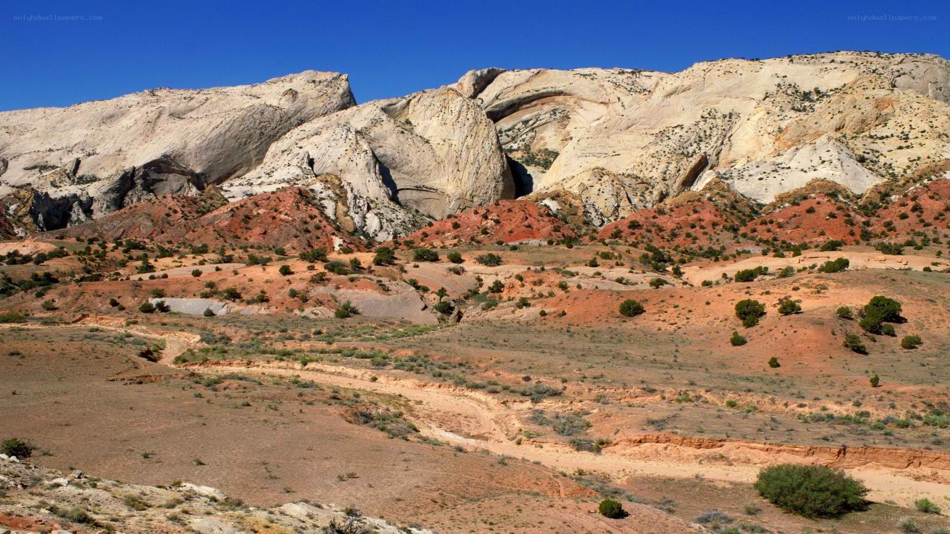 desert canyon landscape