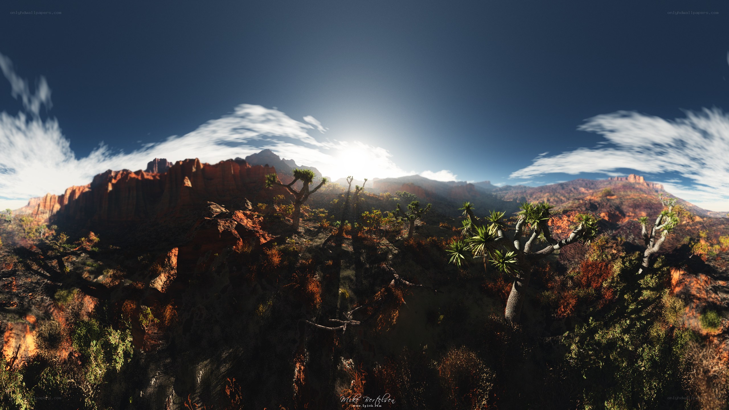Desert canyon landscape