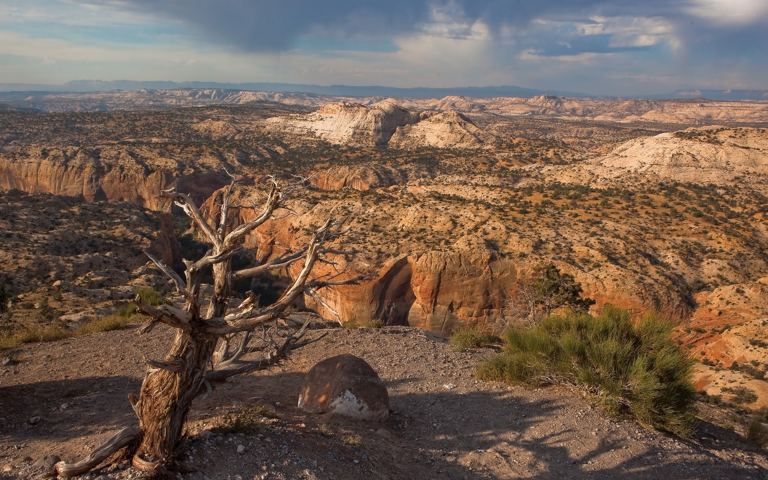 Desert canyon landscape