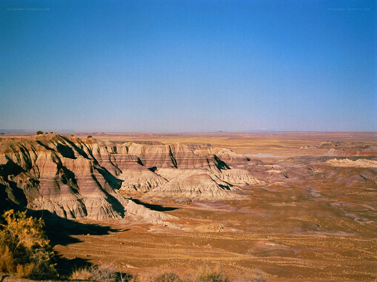 Desert canyon landscape
