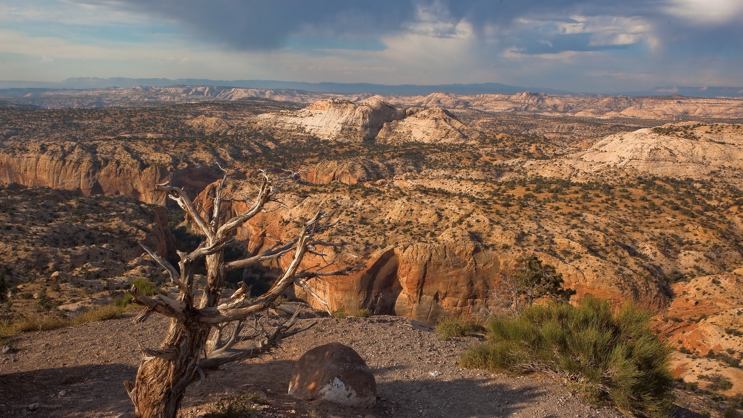 Desert canyon landscape