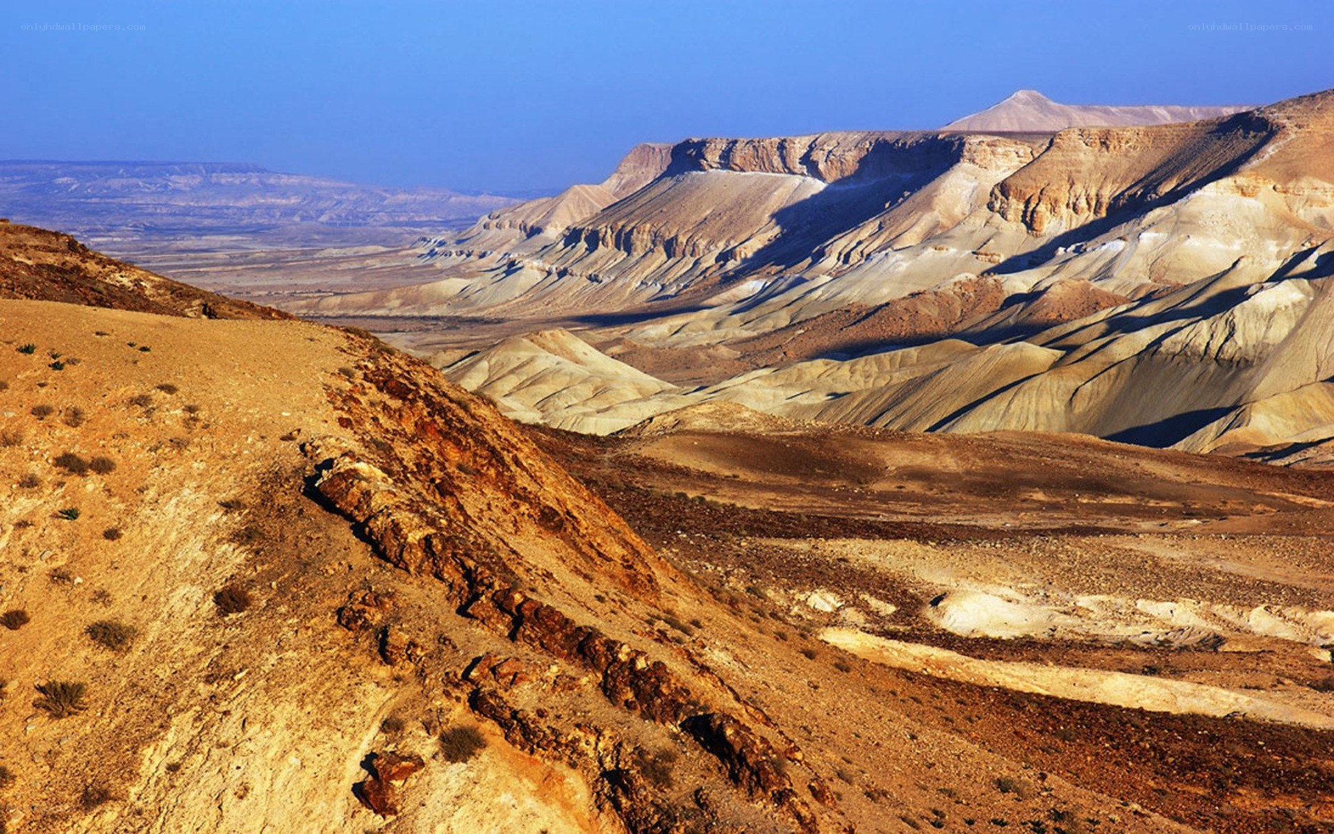 Desert canyon landscape