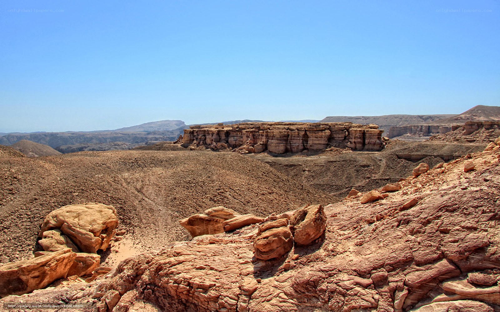 Desert canyon landscape