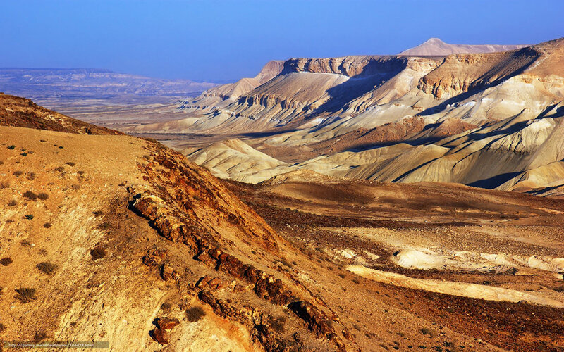 Desert Canyon Landscape — Brown, Arid
