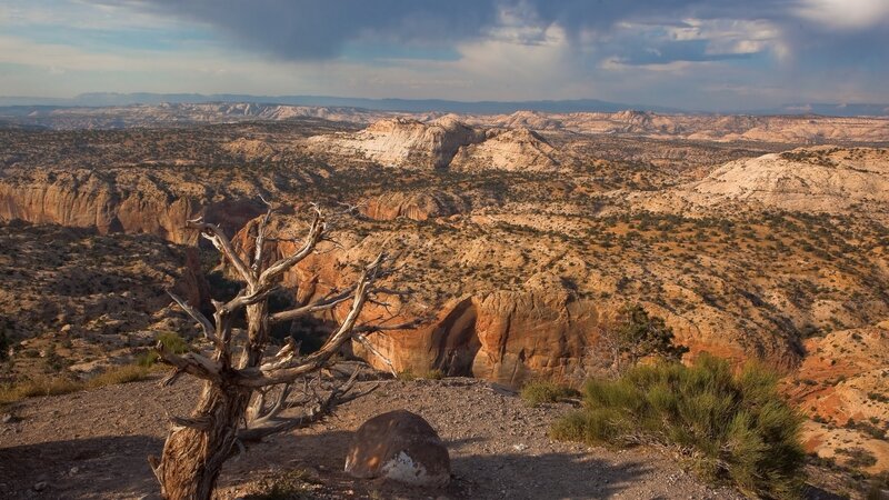 Desert Canyon Landscape — Brown, Dramatic, Afternoon, Photograph
