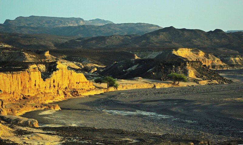 Desert Canyon Landscape — Yellow