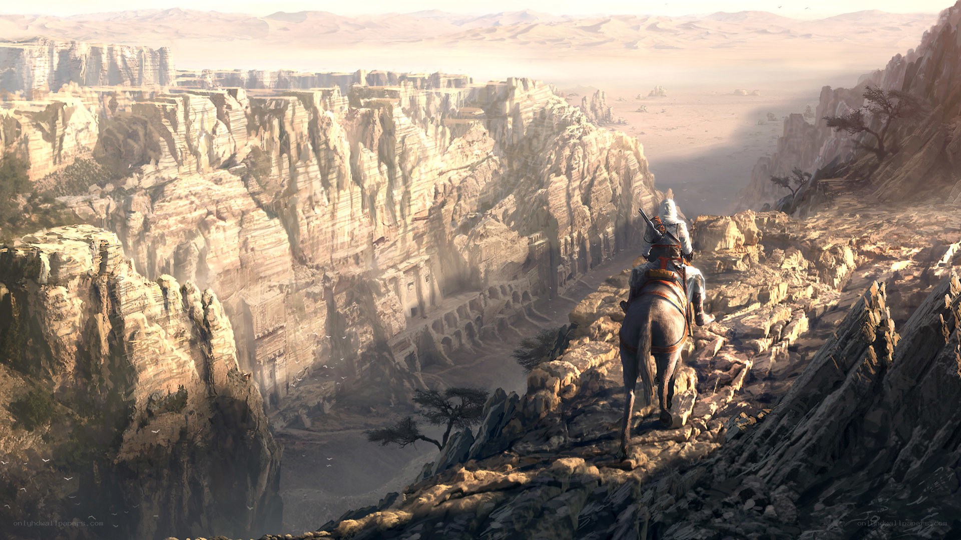 Desert canyon vista