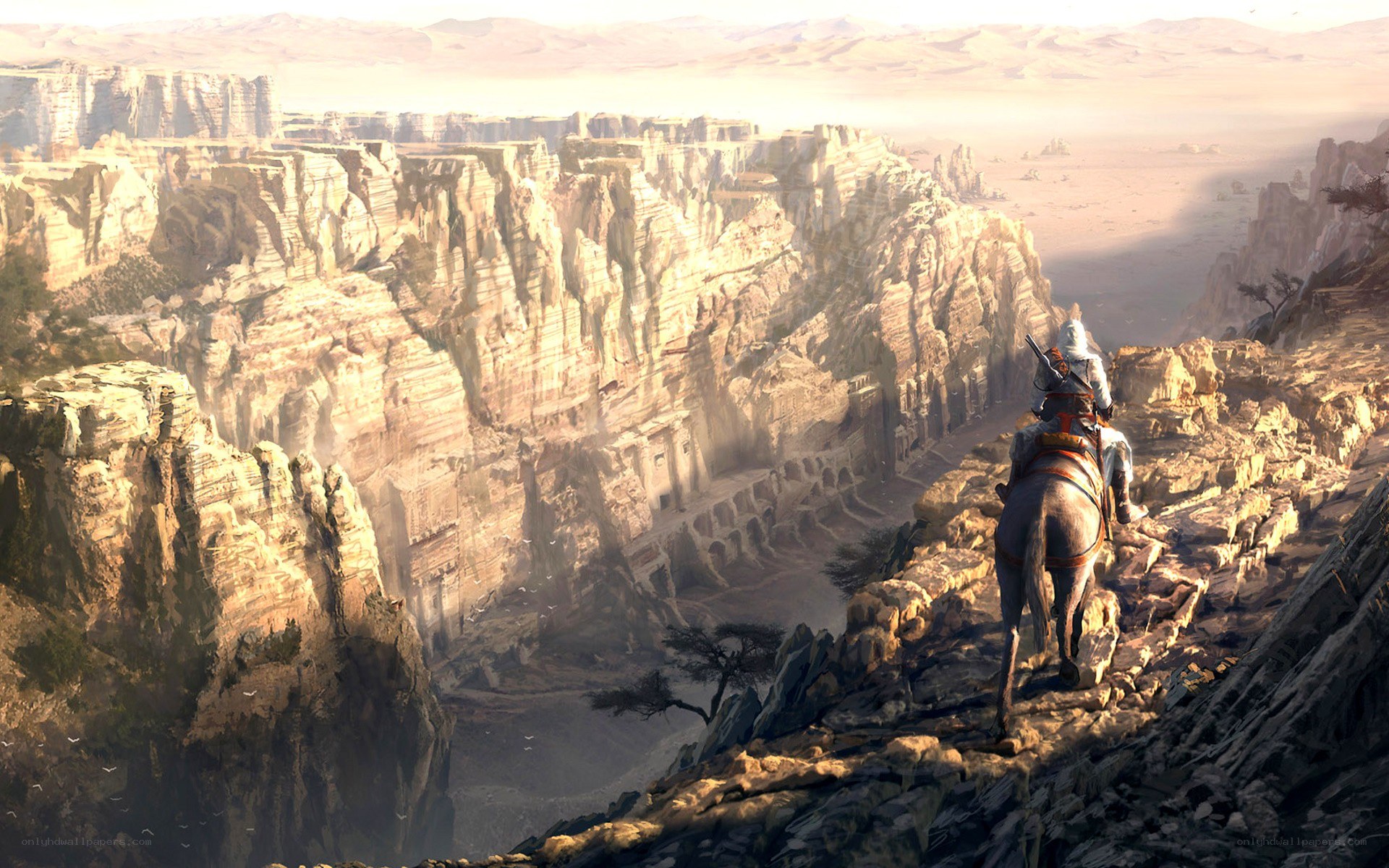 Desert canyon vista