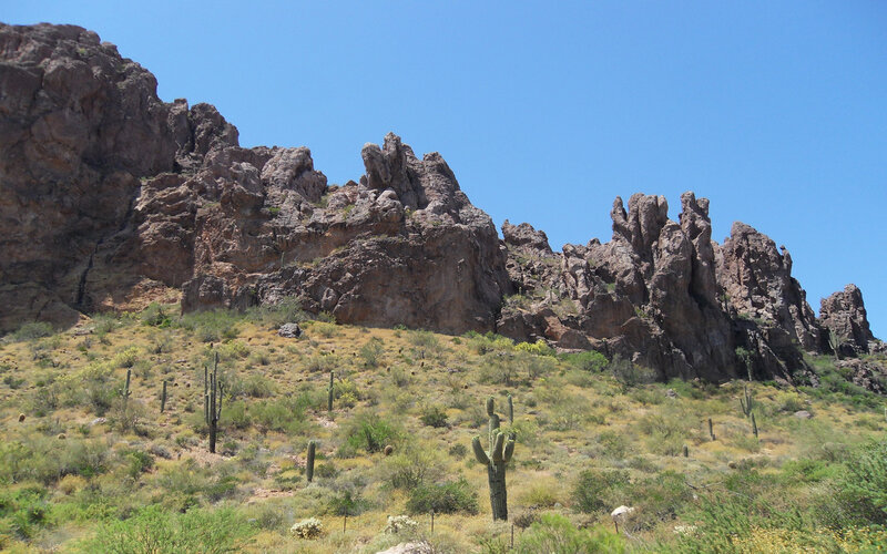Desert canyon with cacti