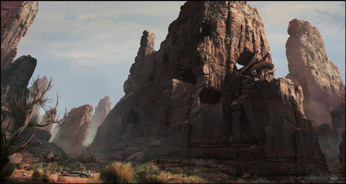 Desert canyon with dragon