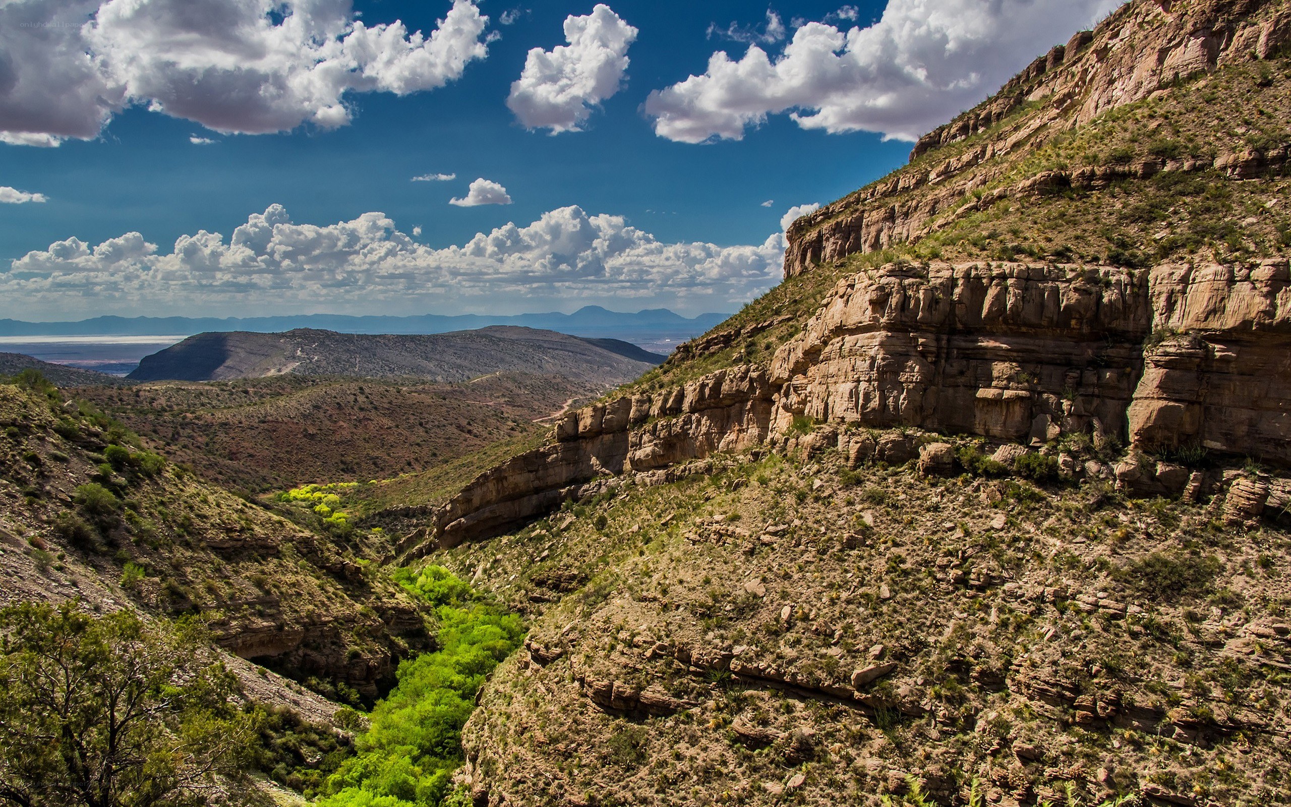 Desert canyon with green stream