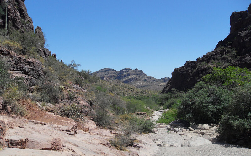 Desert canyon with rocky terrain