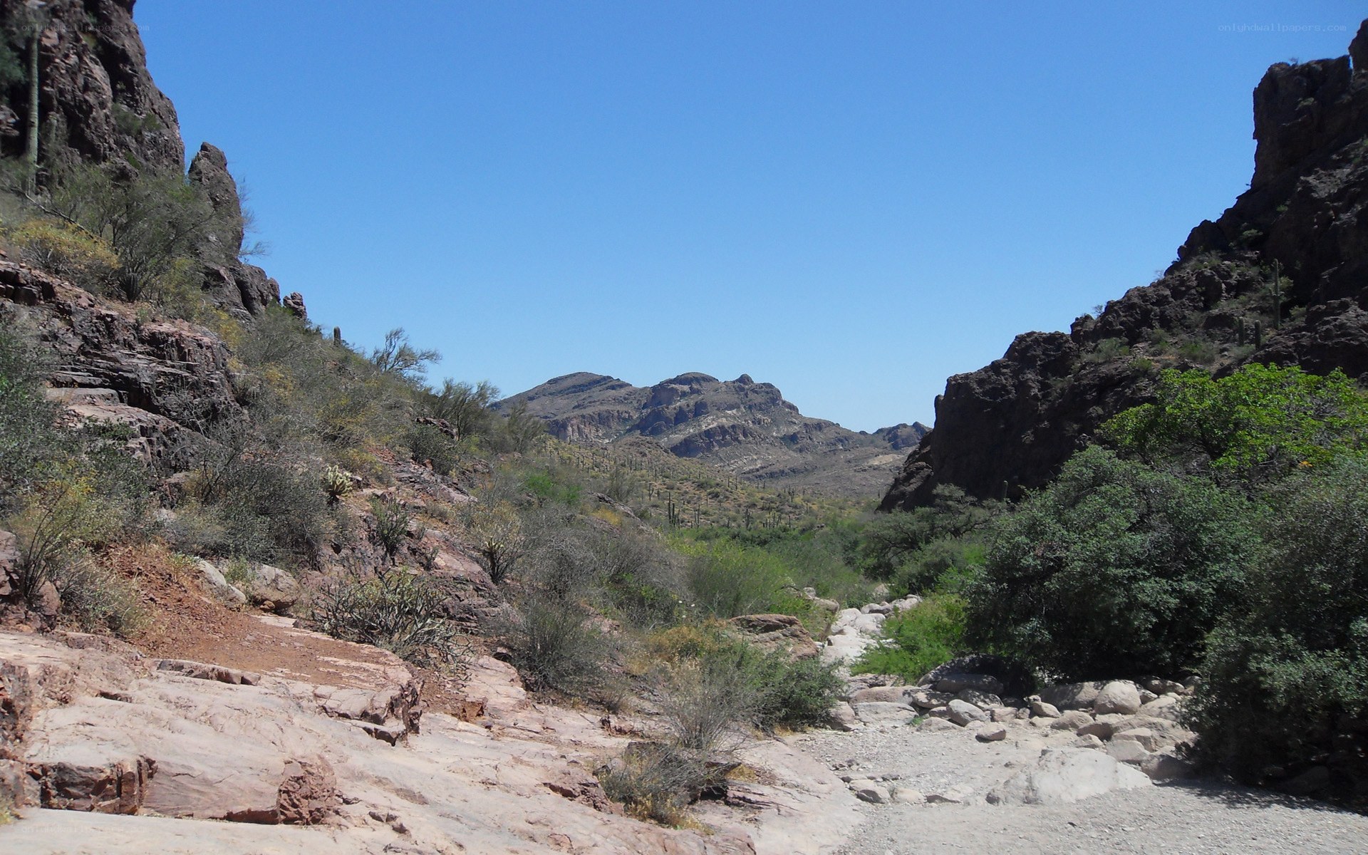 Desert canyon with rocky terrain