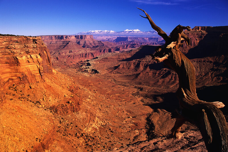 Desert canyon with snow-capped mountains