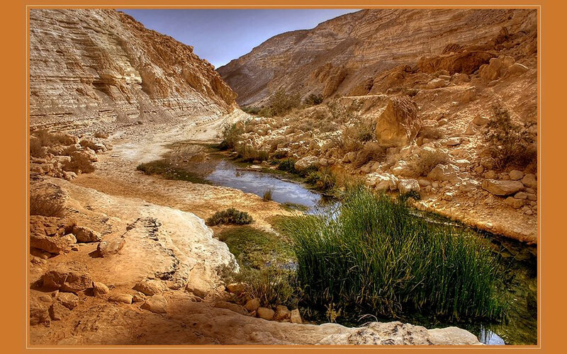 Desert canyon with stream