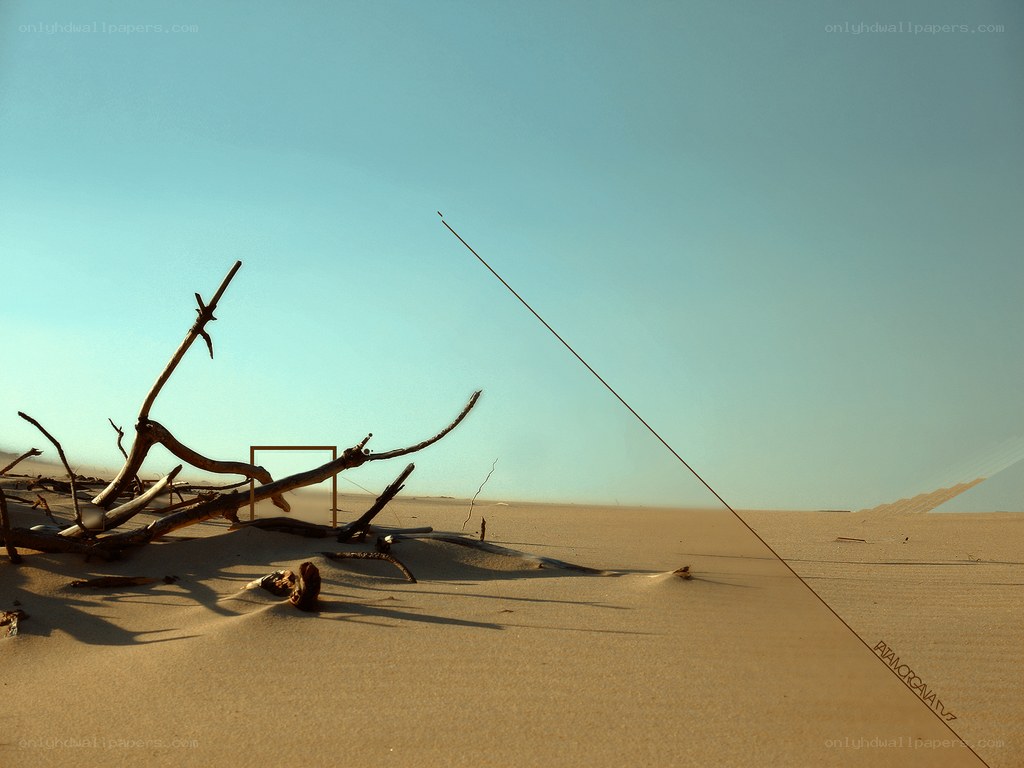 Desert driftwood and frame
