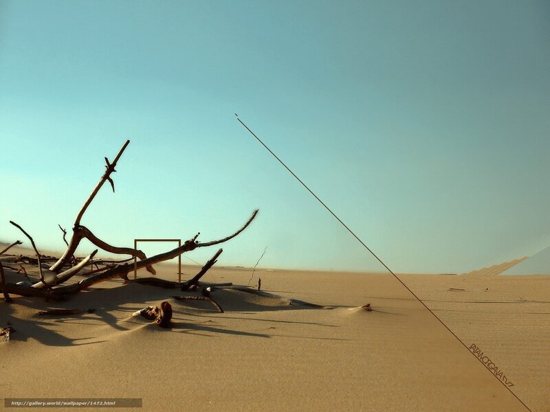 Desert driftwood and frame