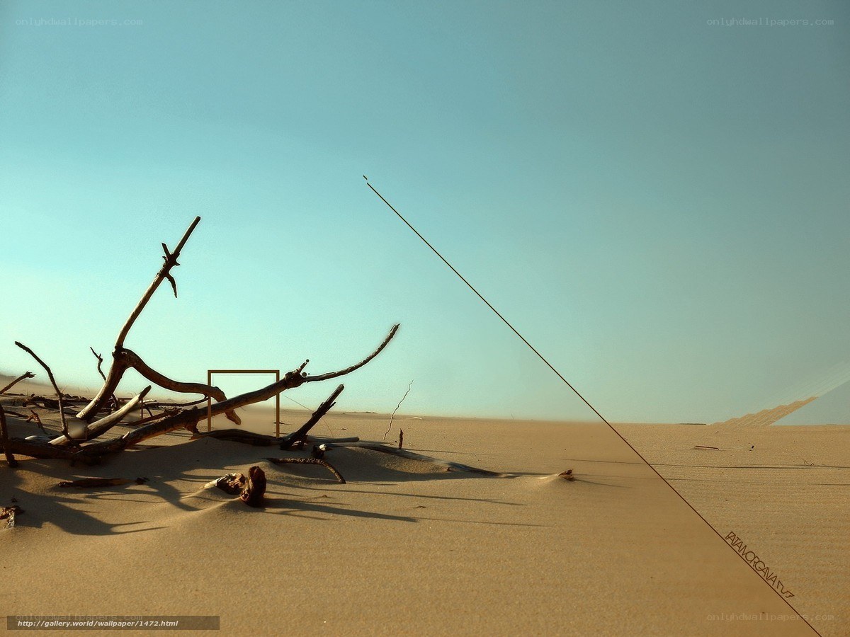 Desert driftwood and frame
