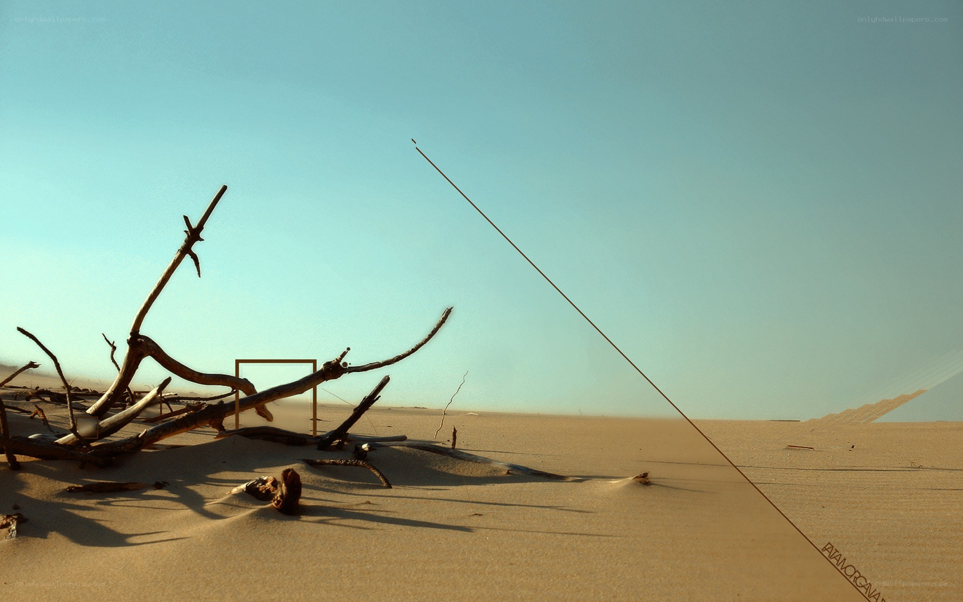 Desert driftwood and wire
