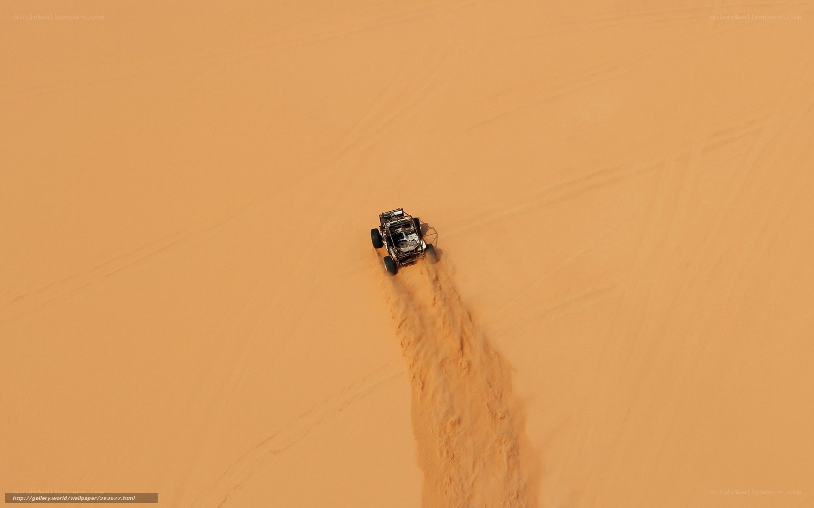Desert dune buggy in action