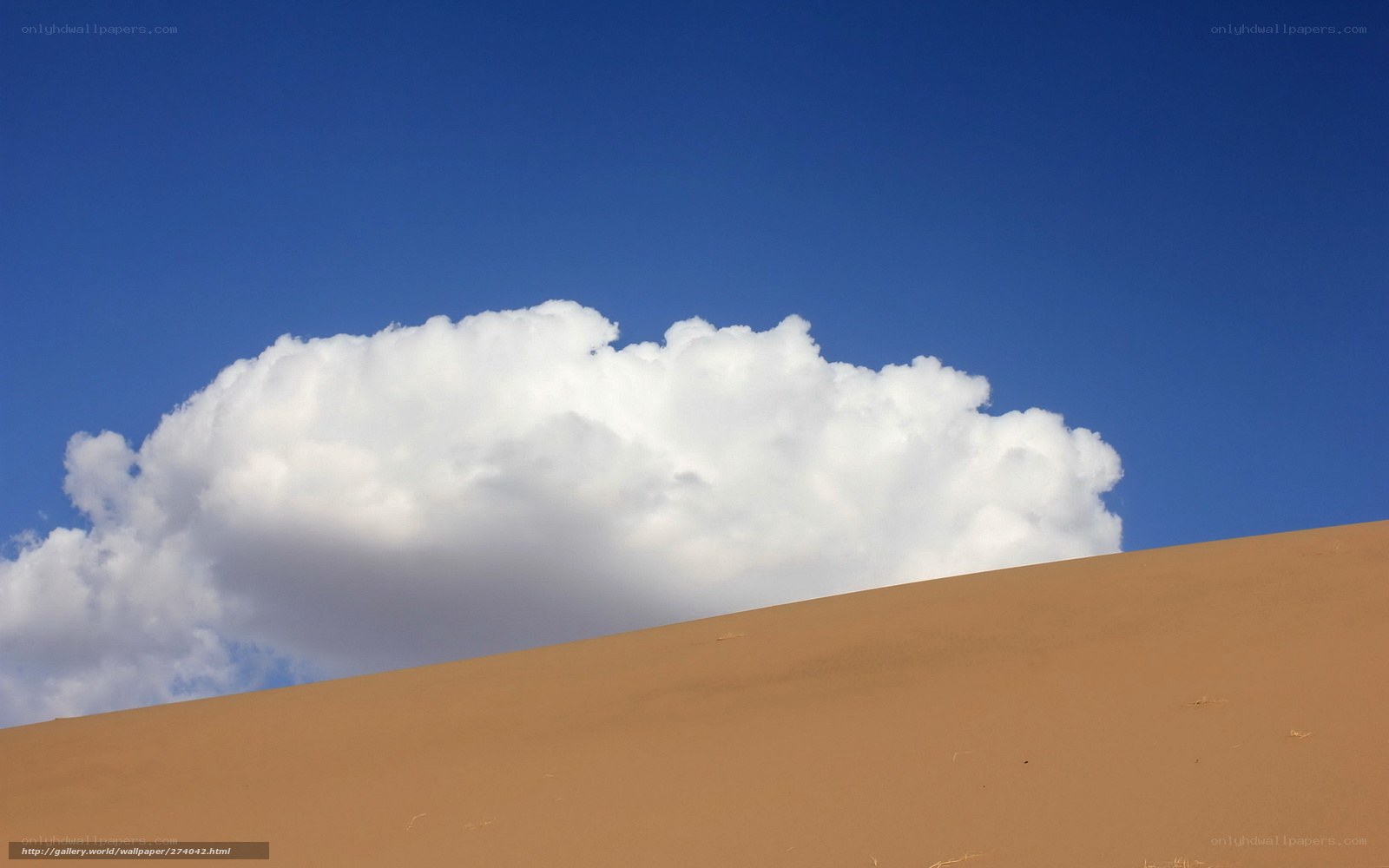 Desert dune under blue sky