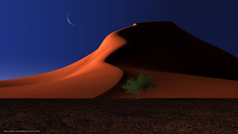 Desert dune with lone tree
