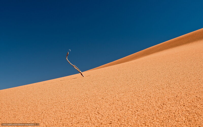 Desert dune with stick