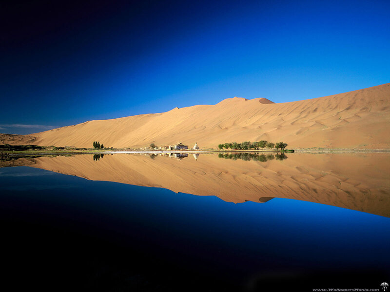 Desert Dunes and Oasis — Blue, Serene
