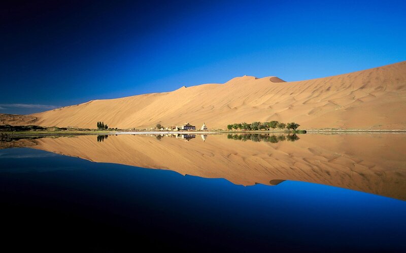 Desert Dunes and Oasis