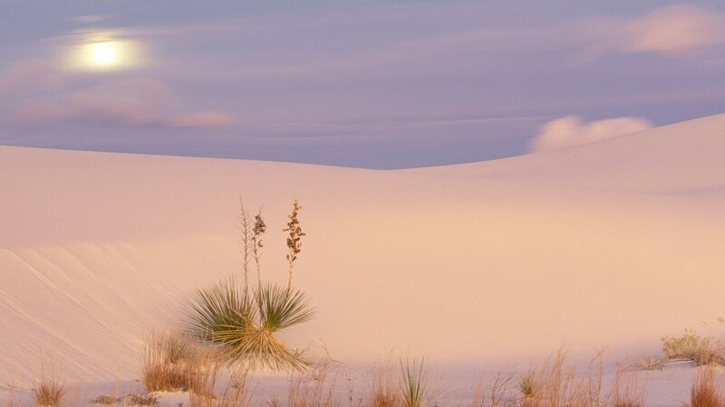 Desert dunes at dusk