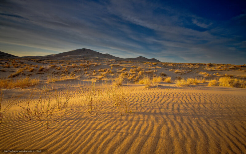 Desert dunes at golden hour