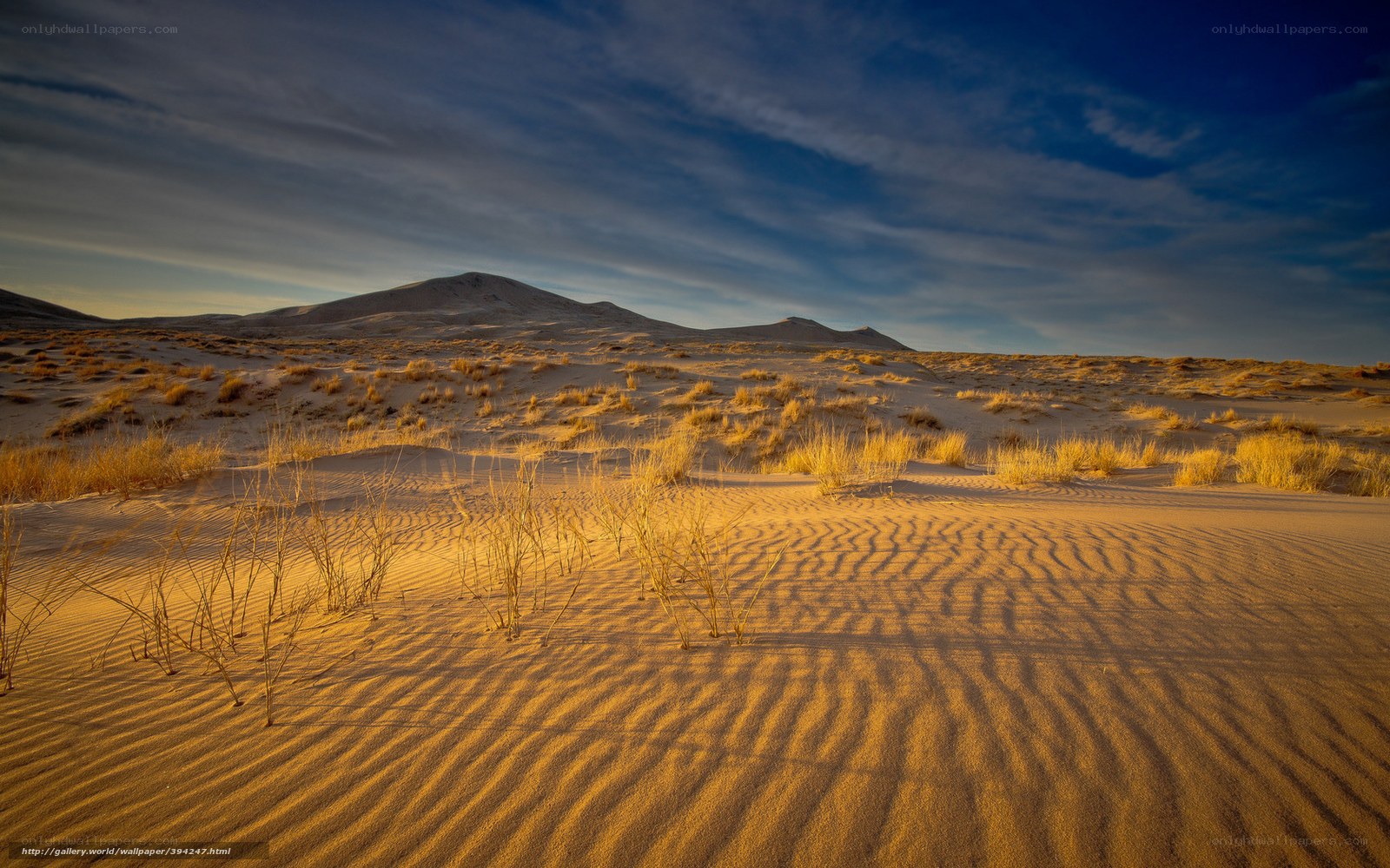 Desert dunes at golden hour