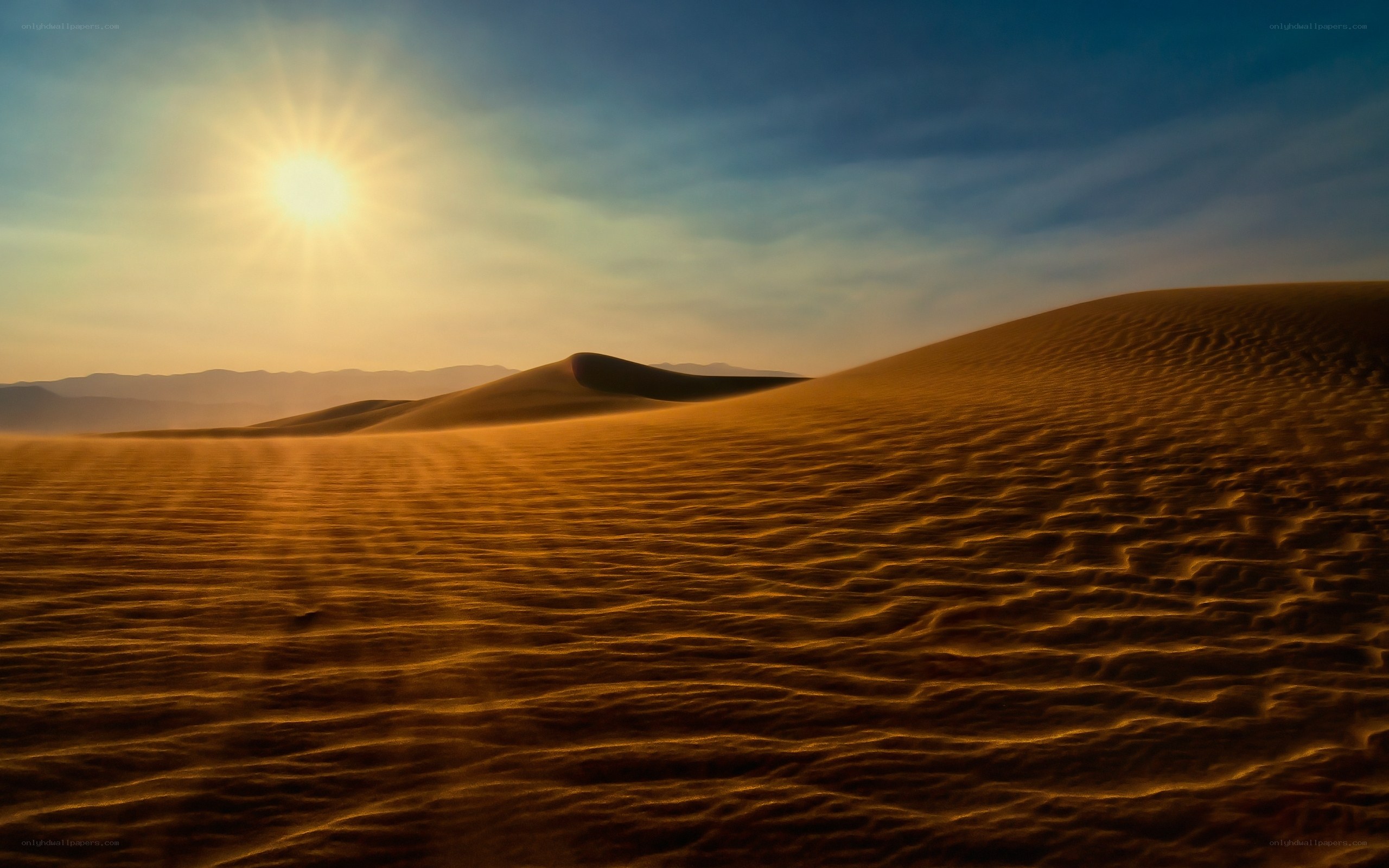 Desert dunes at sunrise
