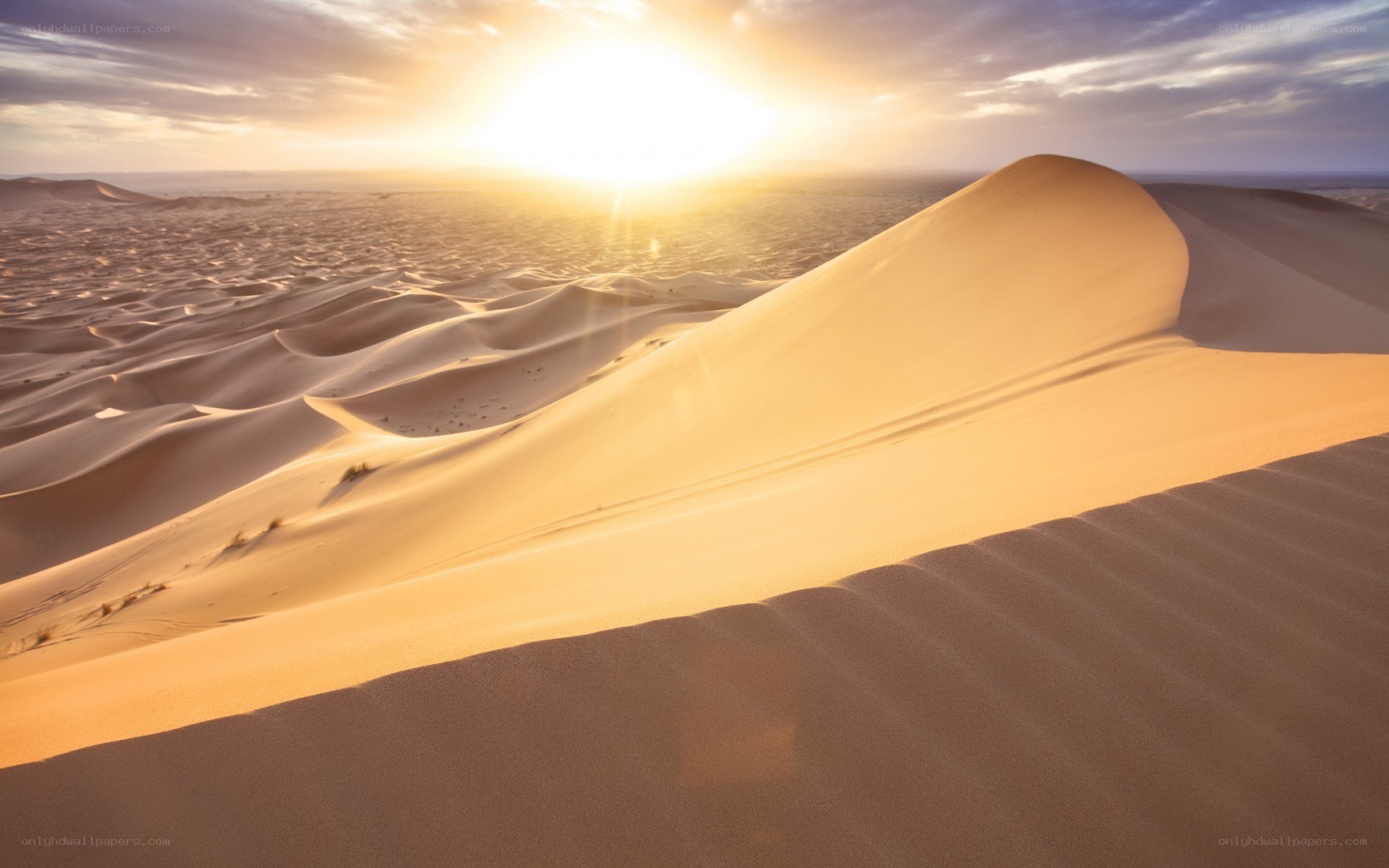 Desert dunes at sunset