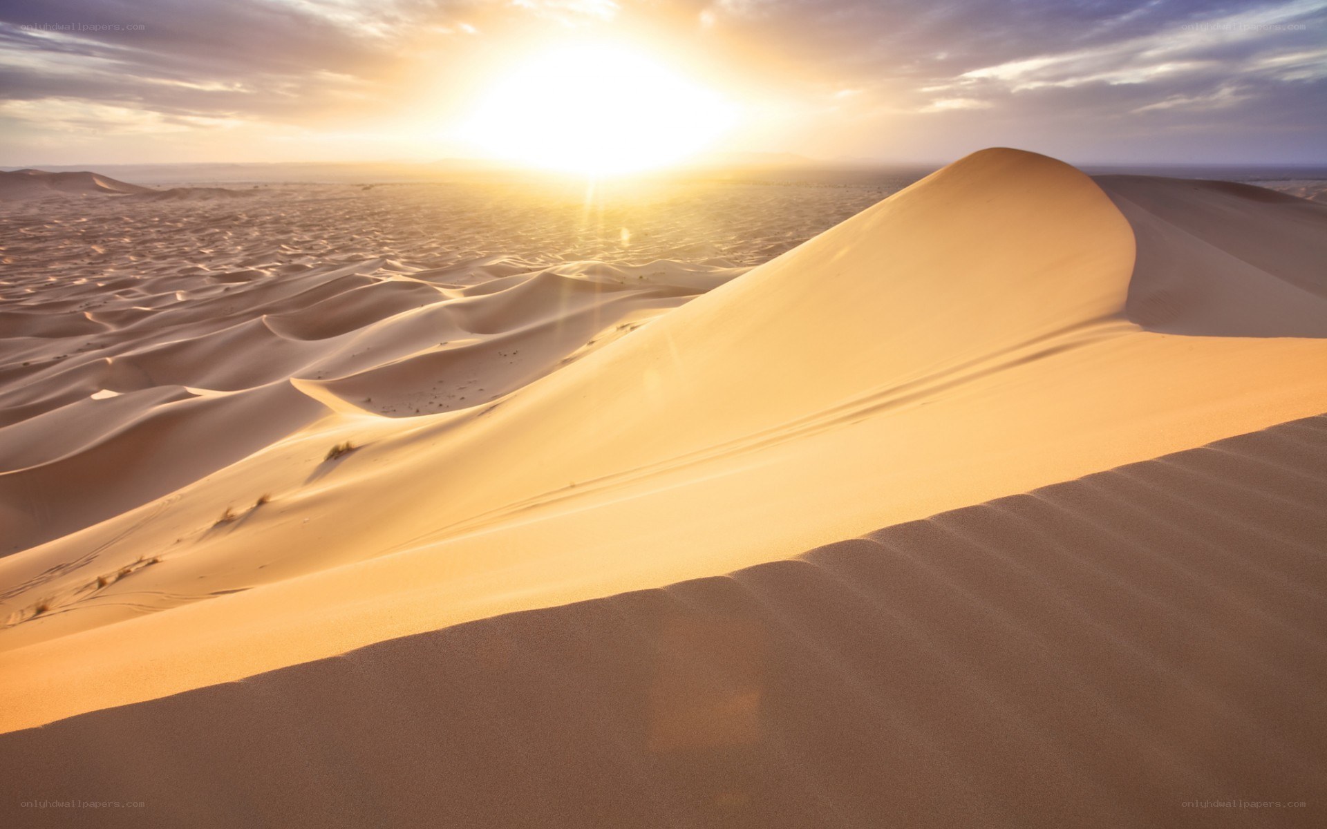 Desert dunes at sunset