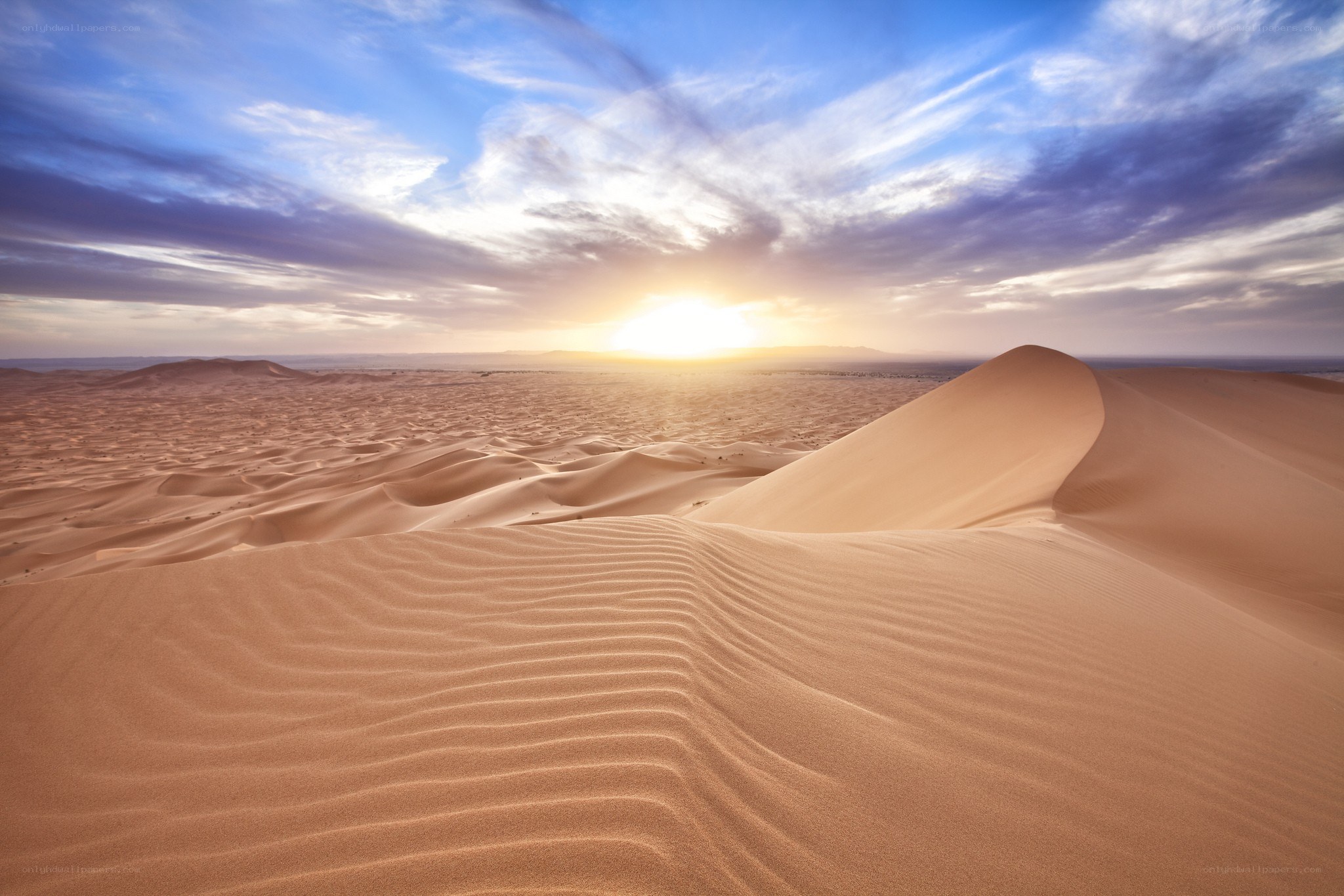 Desert dunes at sunset
