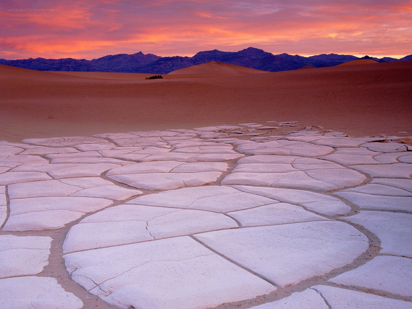 Desert dunes at sunset