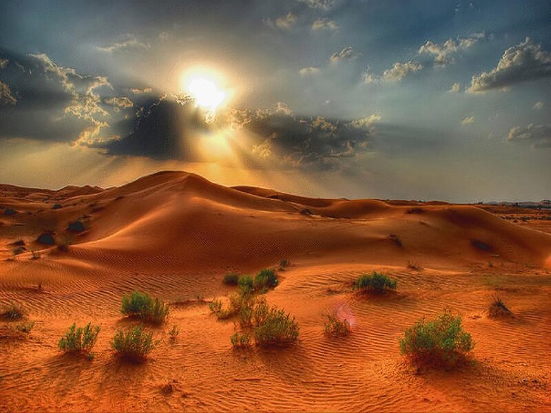 Desert dunes at sunset