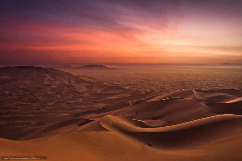 Desert dunes at sunset