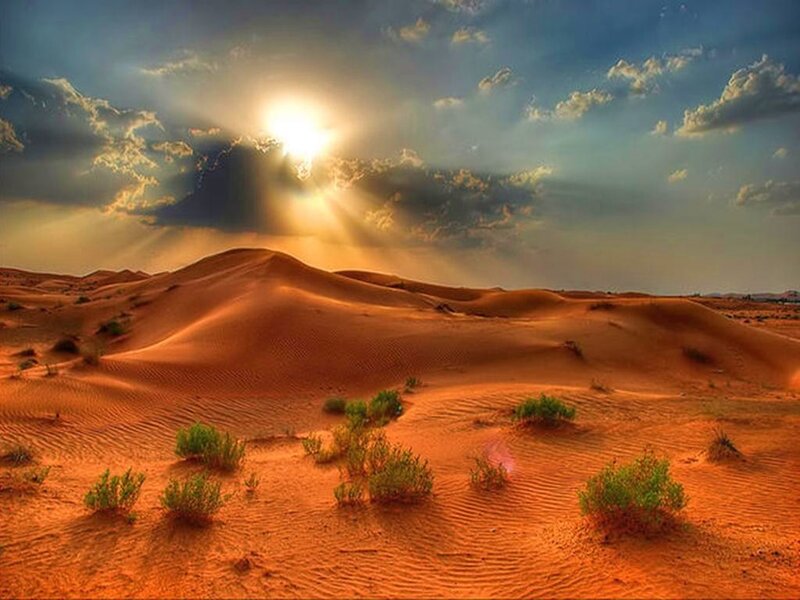 Desert dunes at sunset