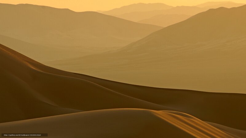 Desert dunes at sunset