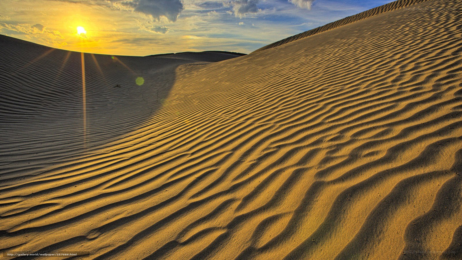Desert dunes at sunset