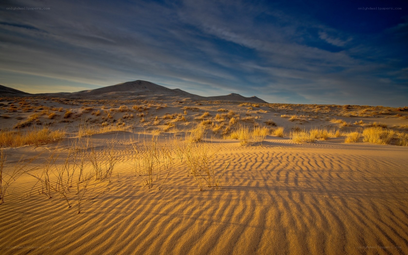 Desert dunes at sunset