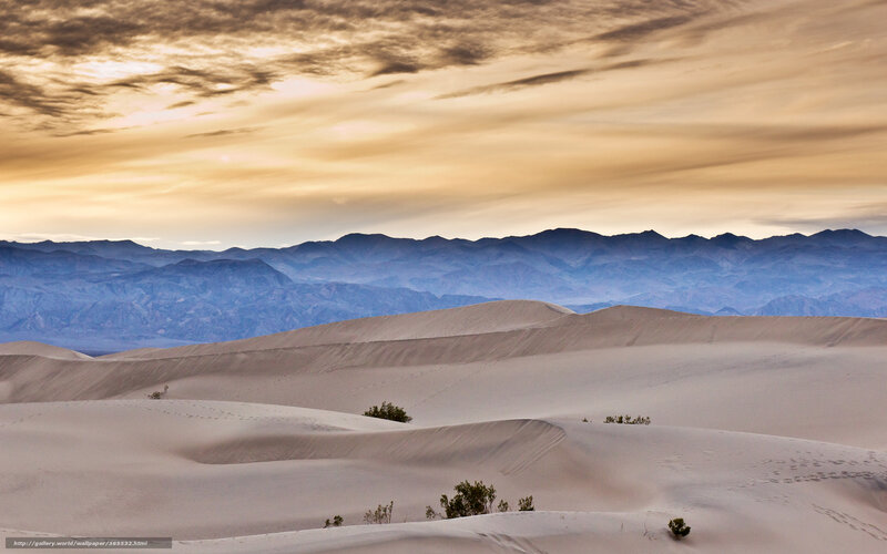 Desert dunes at sunset