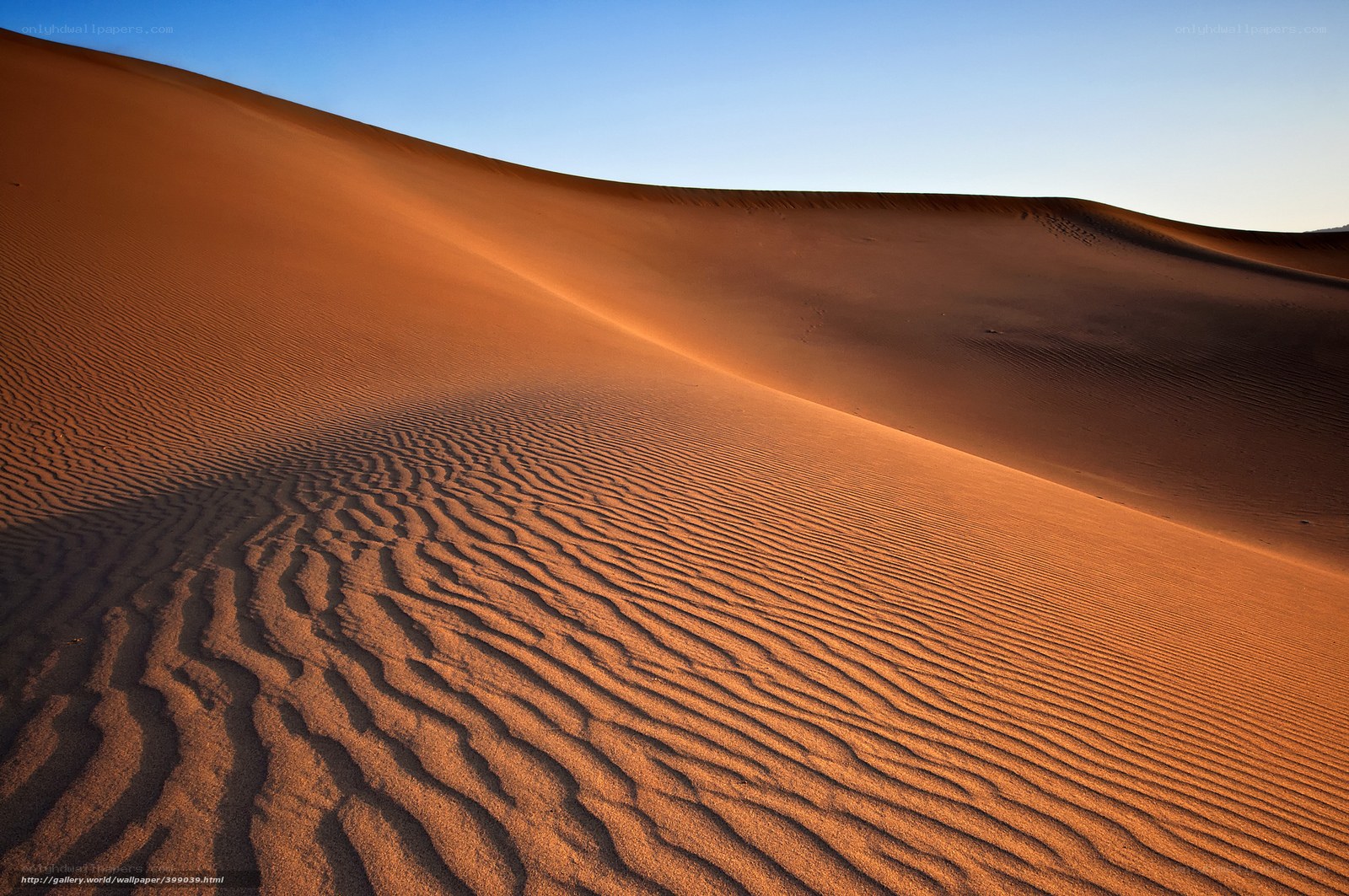Desert dunes at sunset